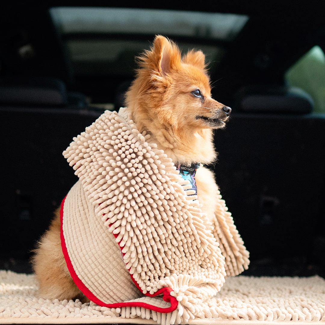 Doggy Dryer Shammy Towel