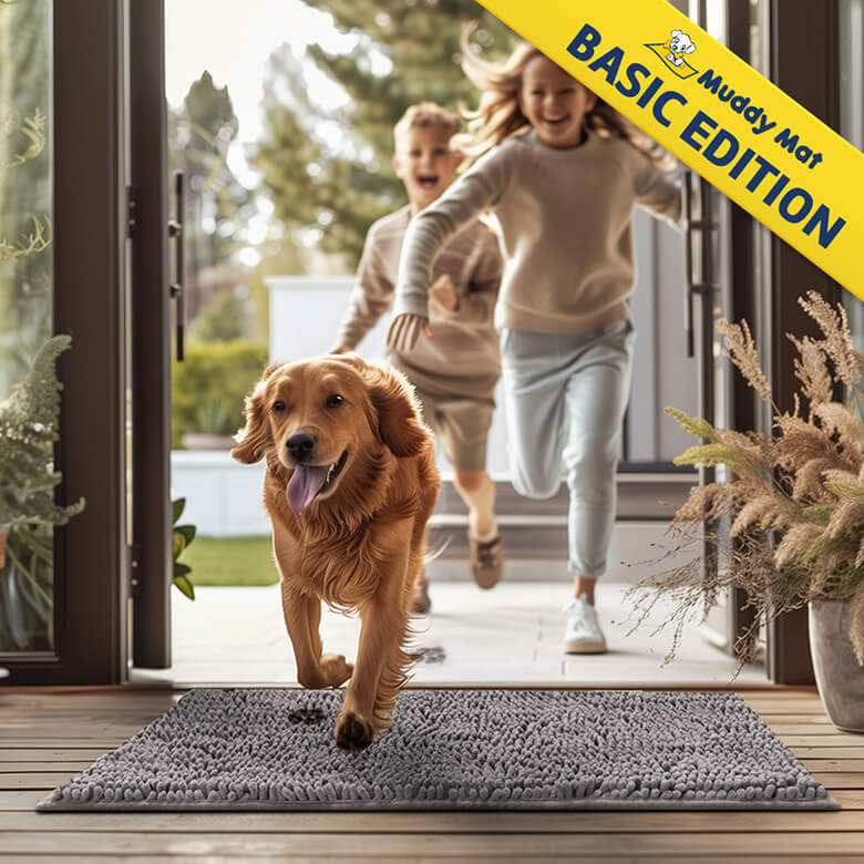 Basic Muddy Mat Dog Door Mat for Muddy Paws