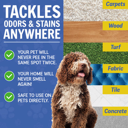 Wizz - Pet Odor & Stain Eliminator